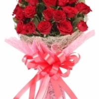 24-red-roses-bunch-gift