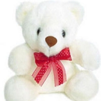 2ft White Teddy Bear