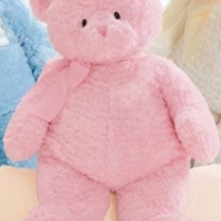 2 ft Teddy pink Bear