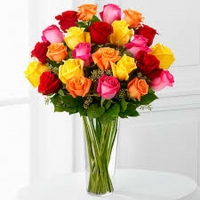 2 dozen multi color roses vase