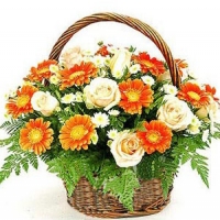 Gerbera Roses Basket