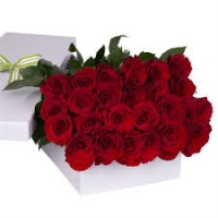 36 roses bunch in a box