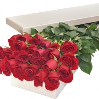 24 Red Roses in box