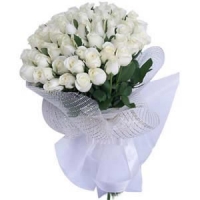 48 peach roses bunch