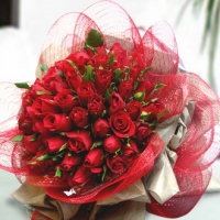48 red roses bunch