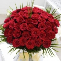 red roses