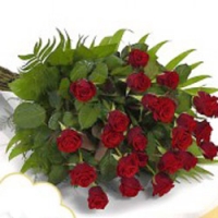 A bundle of red