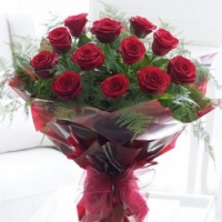 24 red Rose