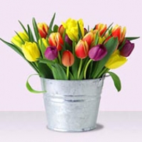 Friendship bouquet