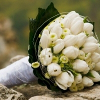 white tulip & white roses