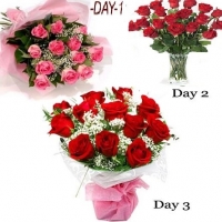 3days special#444