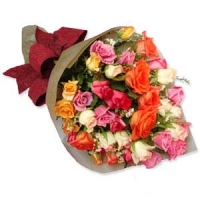 2 dozen multi color roses