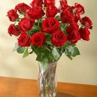 A Magical Rose ! (24 red )