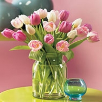 Have a Nice Day