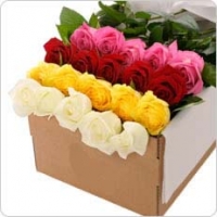 Roses for Mom