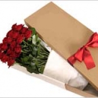 18 Red Roses...