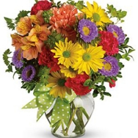 Colored flowers mix